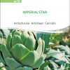 Artischoke Imperial Star