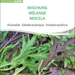 Asiasalat - Mischung