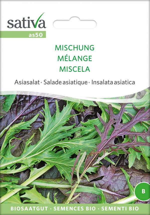 Asiasalat - Mischung