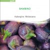 Aubergine 'Bambino'