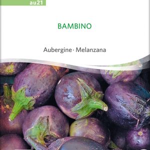 Aubergine 'Bambino'