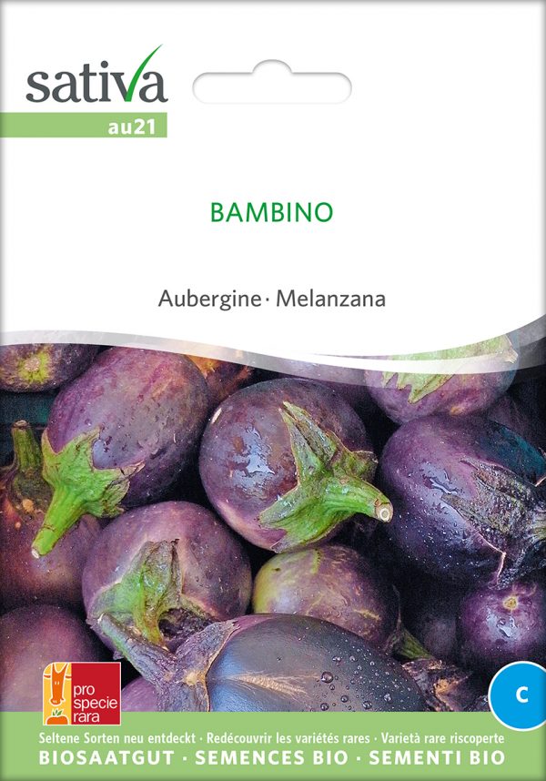Aubergine 'Bambino'