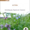 Gründüngung 'Astera'
