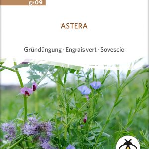 Gründüngung 'Astera'