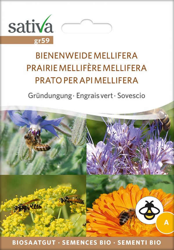 Bienenweide 'Mellifera'