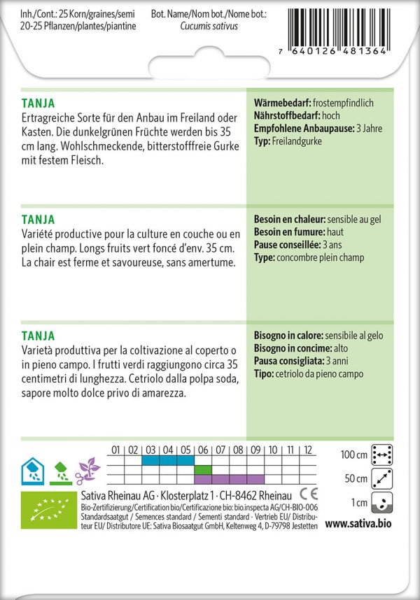 Gurke 'Tanja' – Bild 2