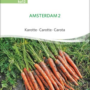 Karotte Amsterdam 2