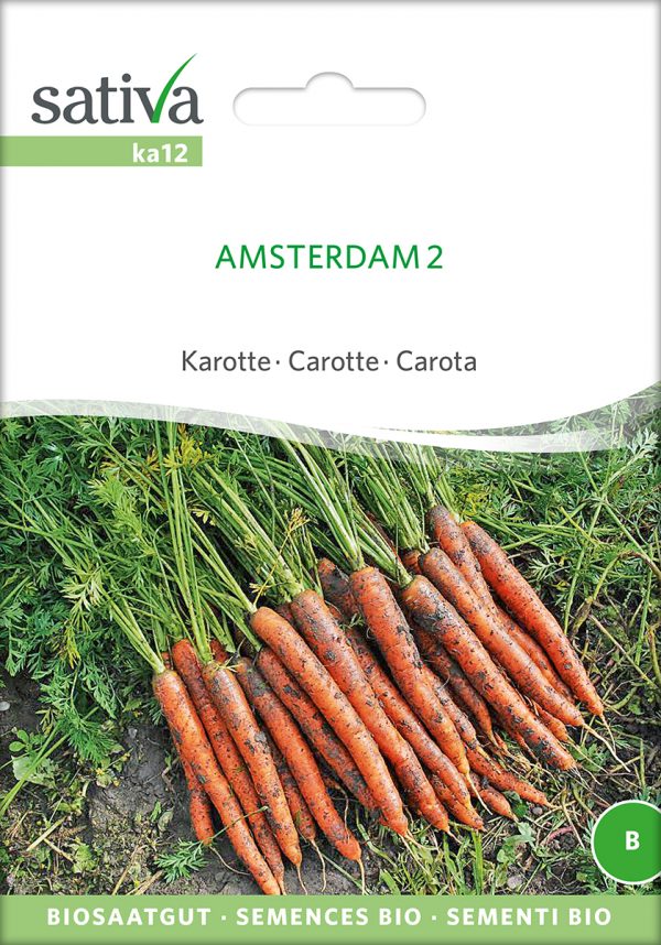 Karotte Amsterdam 2