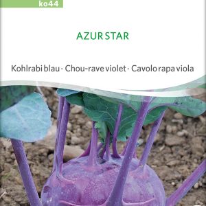 Kohlrabi 'Azur Star'