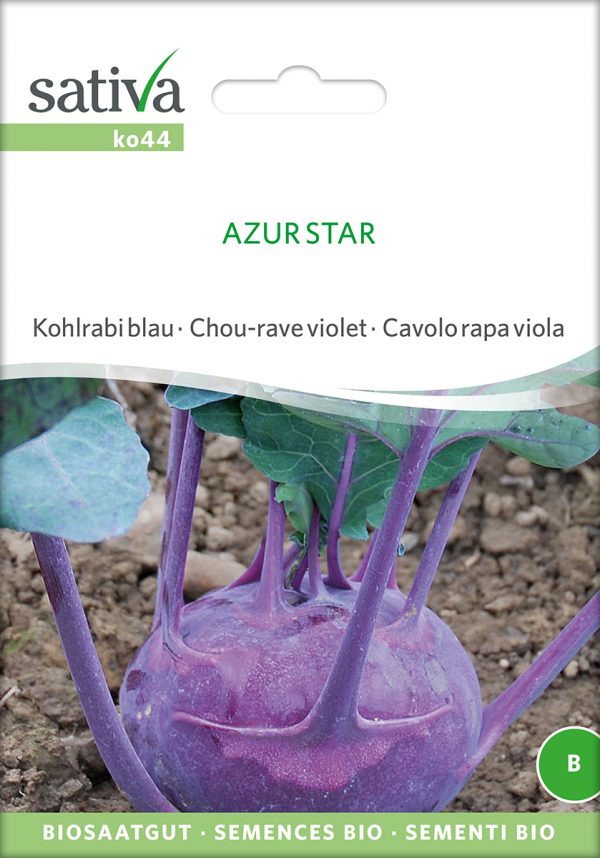 Kohlrabi 'Azur Star'