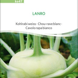 Kohlrabi 'Lanro'
