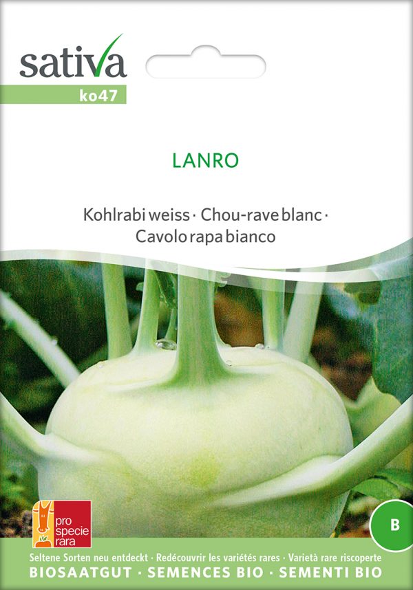 Kohlrabi 'Lanro'