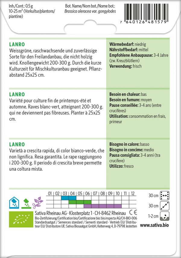 Kohlrabi 'Lanro' – Bild 2
