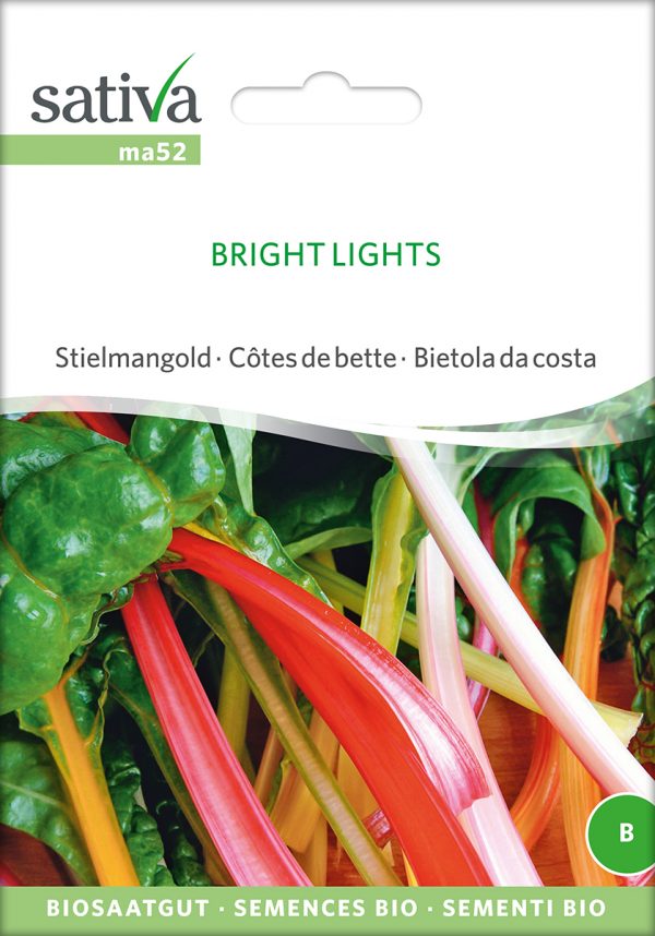Blattmangold 'Bright Lights'