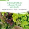 Schnittsalat - Mischung Mesclun