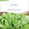 Spinat 'Butterfly'
