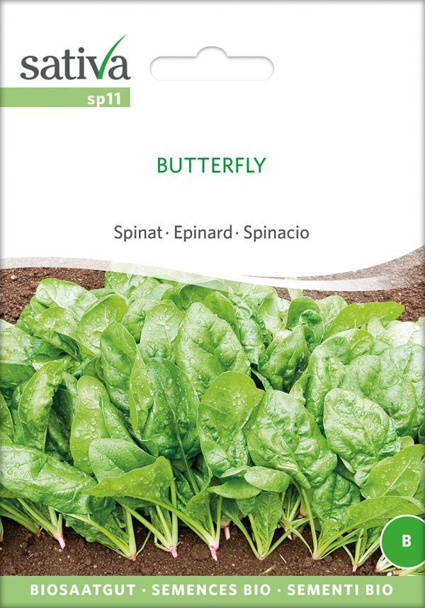 Spinat 'Butterfly'