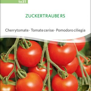 Cherrytomate 'Zuckertraube RS'