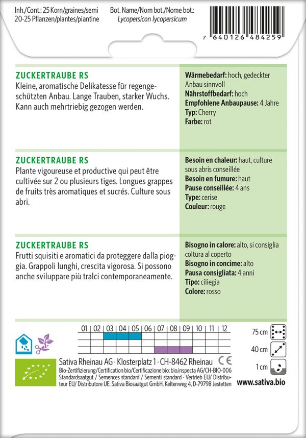 Cherrytomate 'Zuckertraube RS' – Bild 2