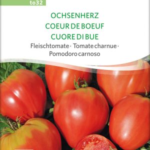 Fleischtomate 'Ochsenherz'
