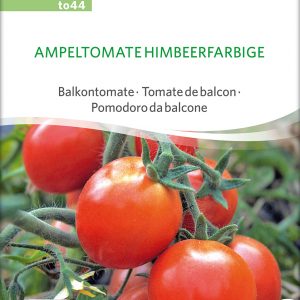Ampeltomate Himbeerfarbige