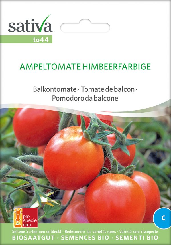 Ampeltomate Himbeerfarbige
