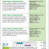 Ampeltomate Himbeerfarbige – Bild 2