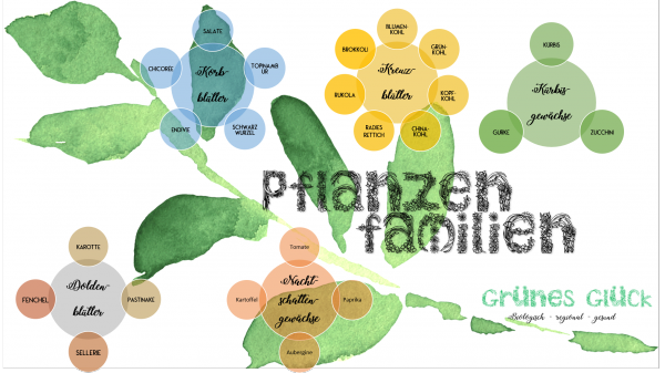 Gemüsegarten planen – Unser grünes Glück