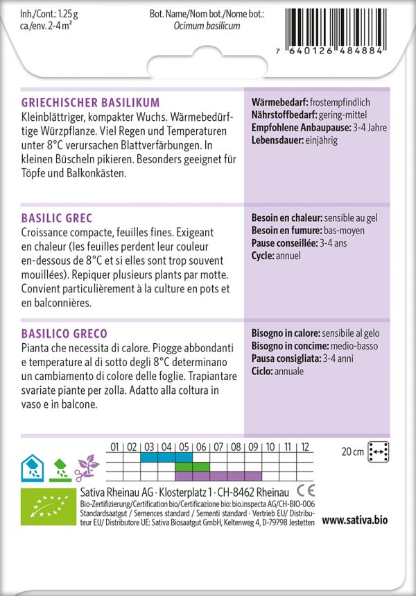 Griechischer Basilikum – Bild 2
