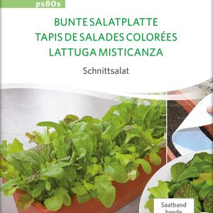 Bunte Salatplatte