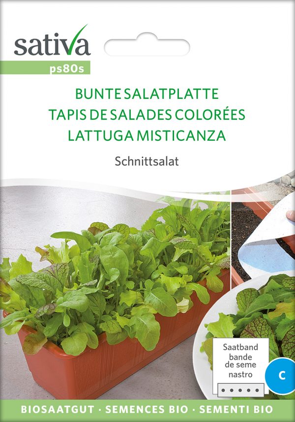 Bunte Salatplatte