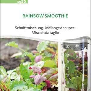 Rainbow Smoothie