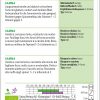 Spinat Gamma – Bild 2