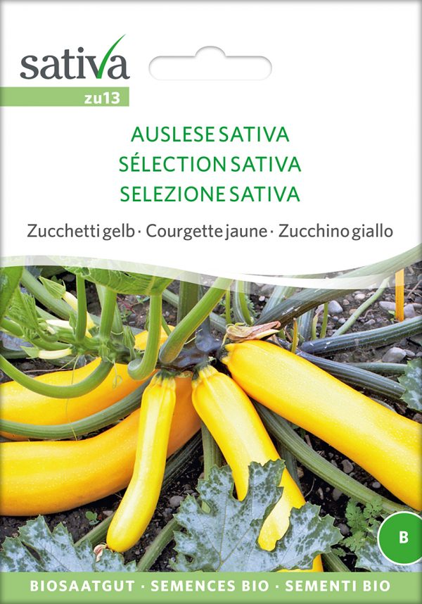 Zucchini, gelbe