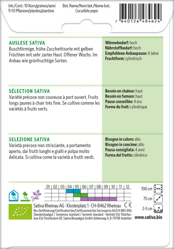 Zucchini, gelbe – Bild 2