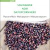 Schwarzer Popcornmais