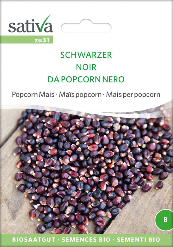 Schwarzer Popcornmais