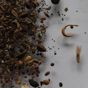 Veitshöchheimer Bienenweide