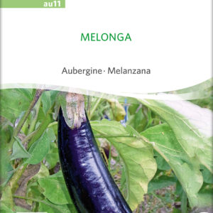 Aubergine Melonga