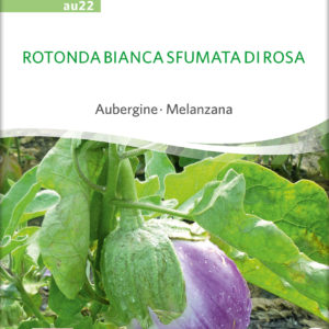 Rotonda Bianca sfumata di rosa