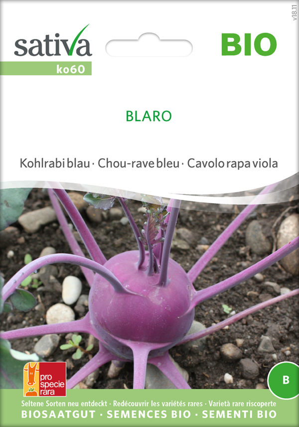 Lila Kohlrabi Blaro