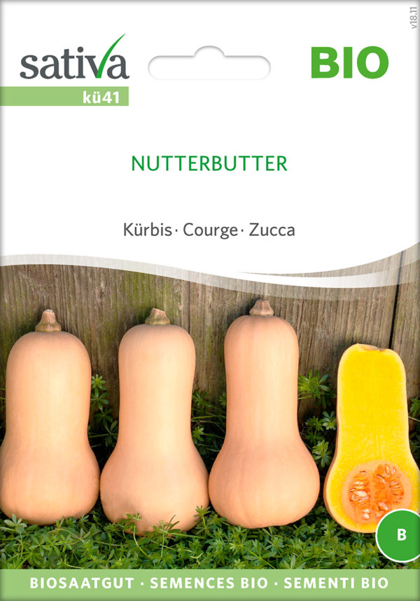 Kürbis 'Nutterbutter'