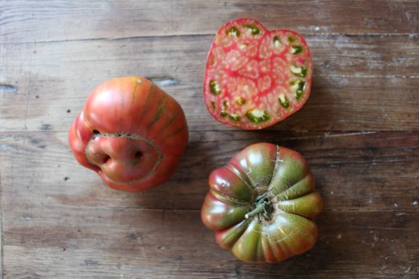 Ananas noire, Schwarze Ananas-Tomate