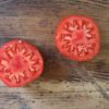 Fleischtomate, rot