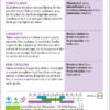 Schnittlauch – Bild 2