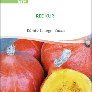 Hokkaido Kürbis Red Kuri