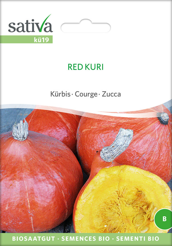 Hokkaido Kürbis Red Kuri