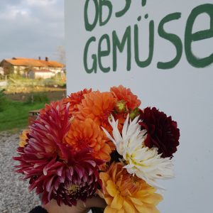 Gutschein - Selbstpflücke Bio-Blumenfeld