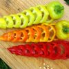 Paprika `Roter Augsburger` – Bild 4